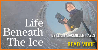 Life Beneath The Ice