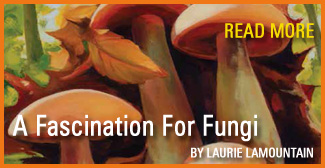 A Fascination For Fungi